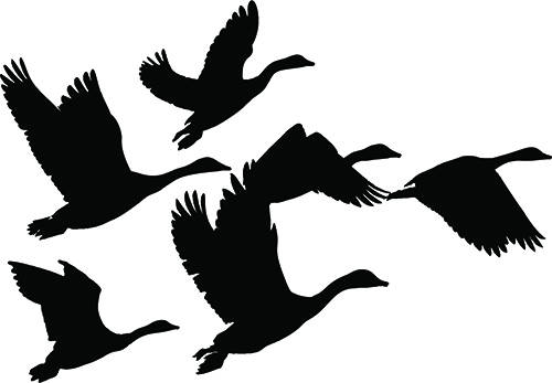 Geese Migration svg #6, Download drawings