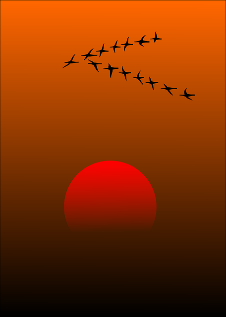 Geese Migration svg #10, Download drawings