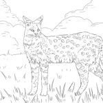 Geoffroy's Cat coloring #6, Download drawings