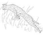 Geoffroy's Cat coloring #9, Download drawings
