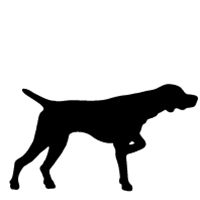 German Shorthaired Pointer svg #20, Download drawings