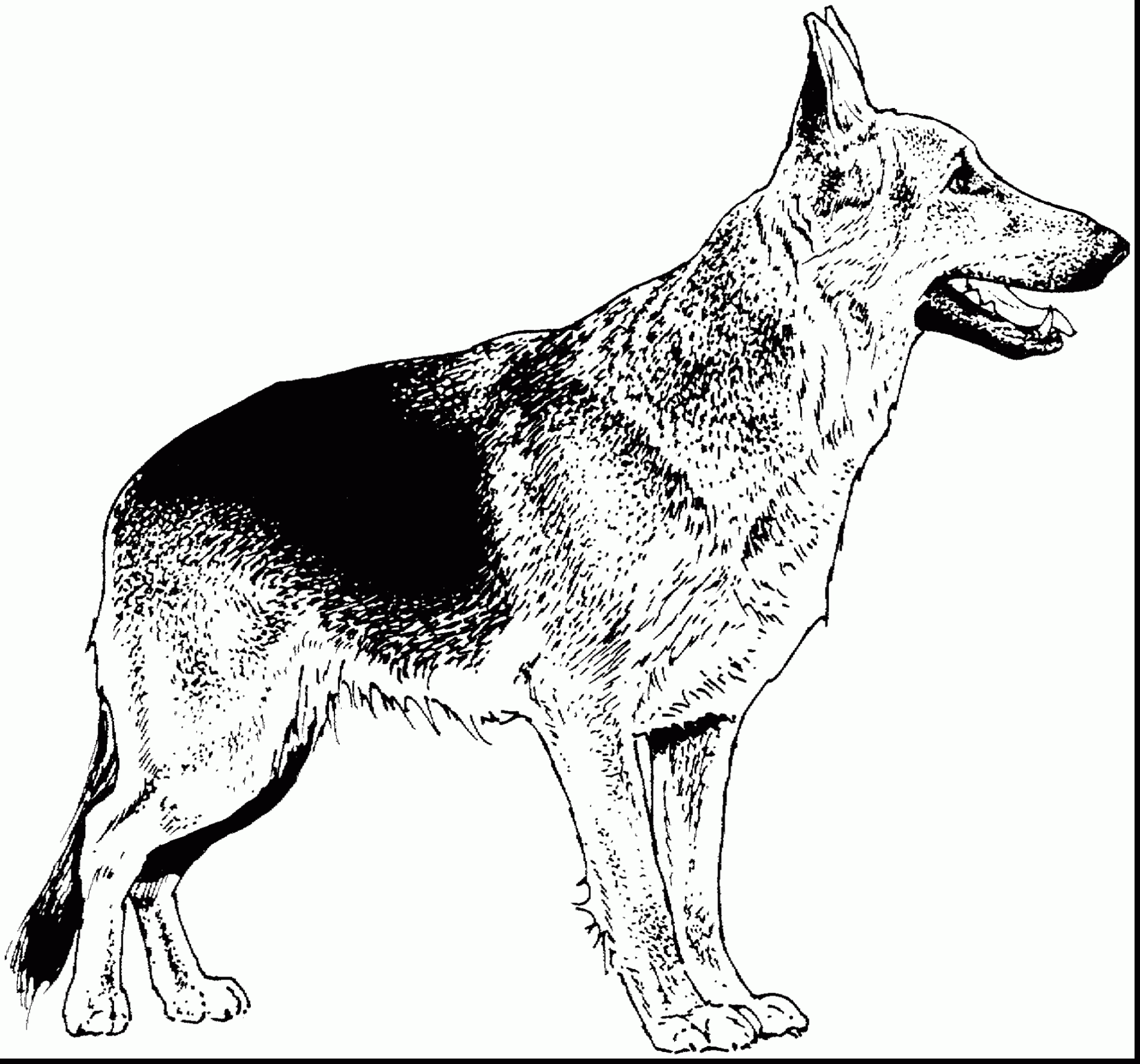 German Shepherd coloring #8, Download drawings