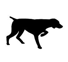 German Shorthaired Pointer svg #18, Download drawings