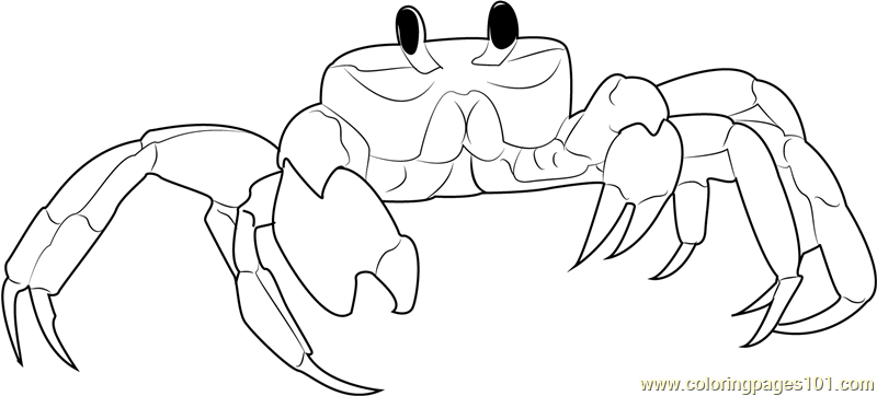 Ghost Crab coloring #1, Download drawings