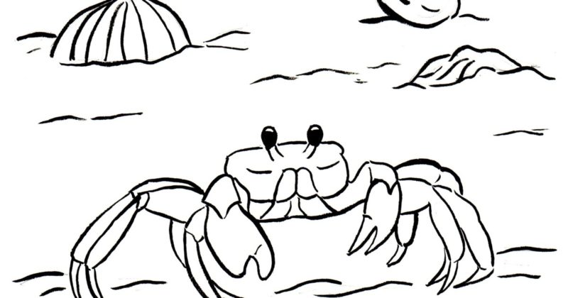 Ghost Crab coloring #5, Download drawings