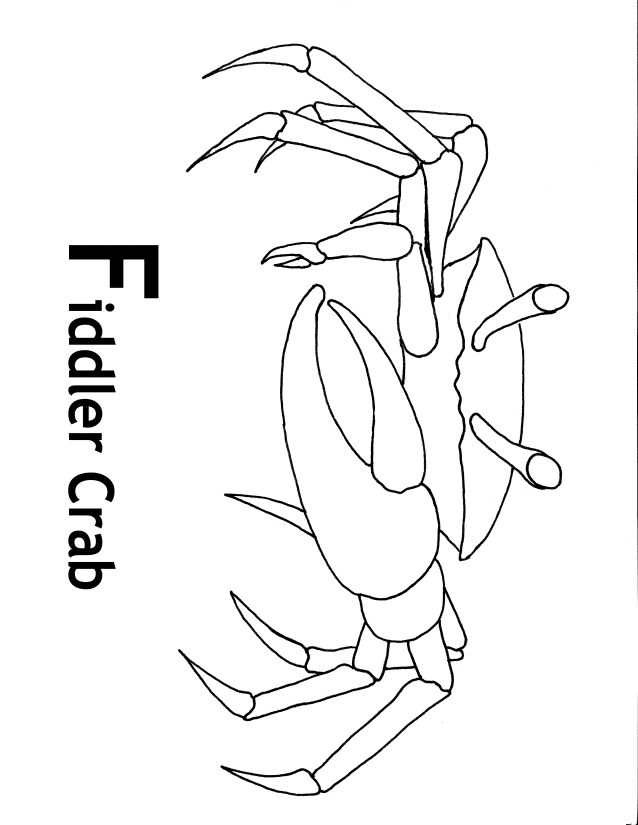 Ghost Crab coloring #12, Download drawings