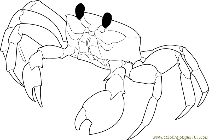 Ghost Crab coloring #4, Download drawings
