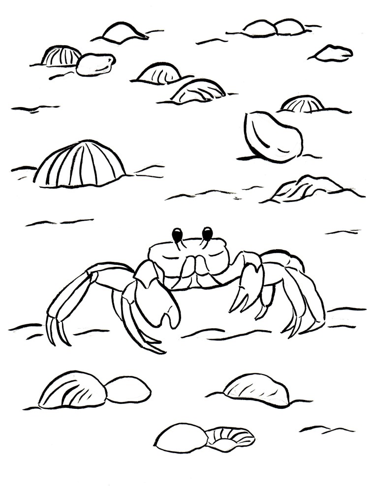 Ghost Crab coloring #19, Download drawings