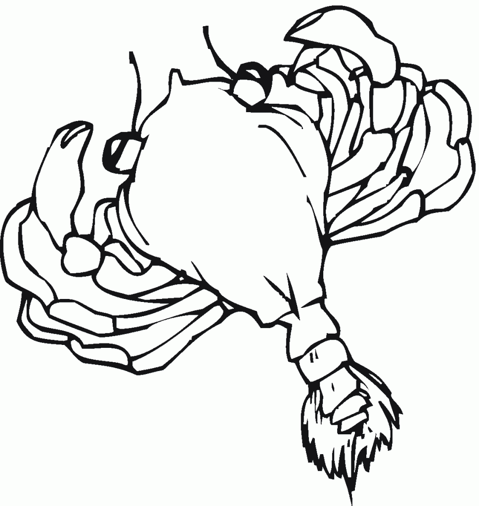 Ghost Crab coloring #6, Download drawings