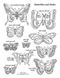 Ghost Moth coloring #8, Download drawings