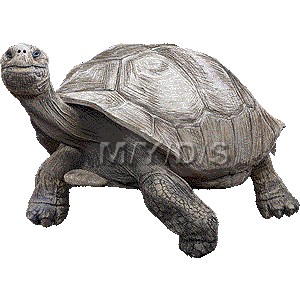 Giant Tortoise clipart #3, Download drawings