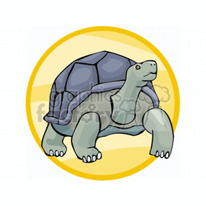 Giant Tortoise clipart #14, Download drawings