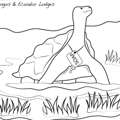Giant Tortoise coloring #7, Download drawings