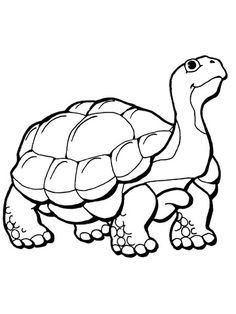 Giant Tortoise coloring #8, Download drawings
