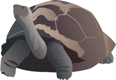 Giant Tortoise svg #19, Download drawings