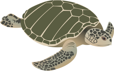 Giant Tortoise svg #11, Download drawings