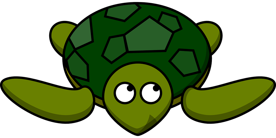 Giant Tortoise svg #6, Download drawings