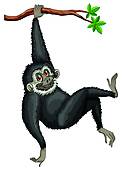 Gibbon clipart #3, Download drawings