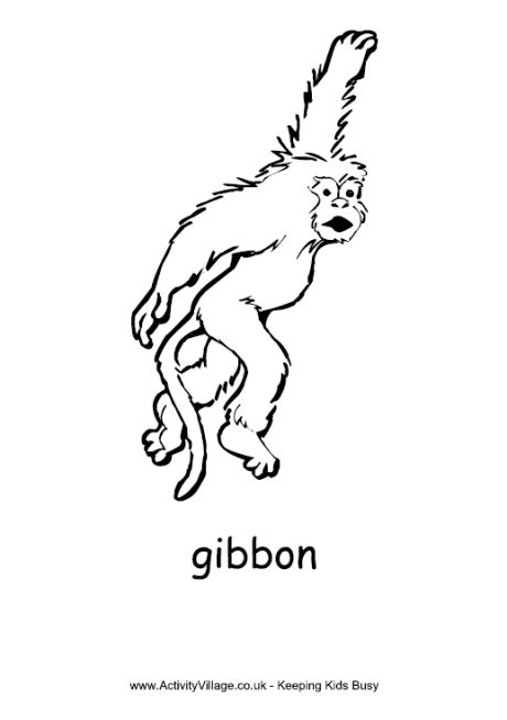 Gibbon coloring #14, Download drawings