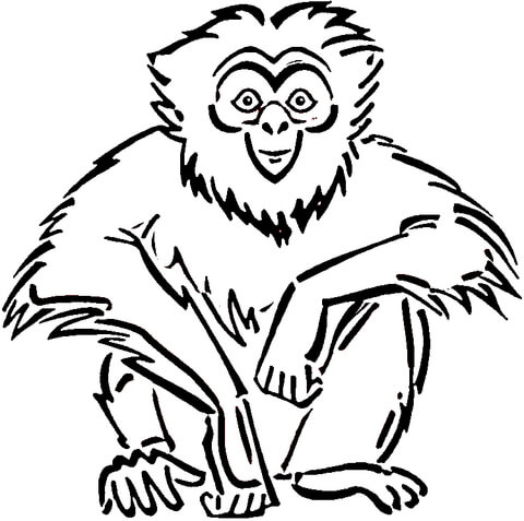 Gibbon coloring #1, Download drawings