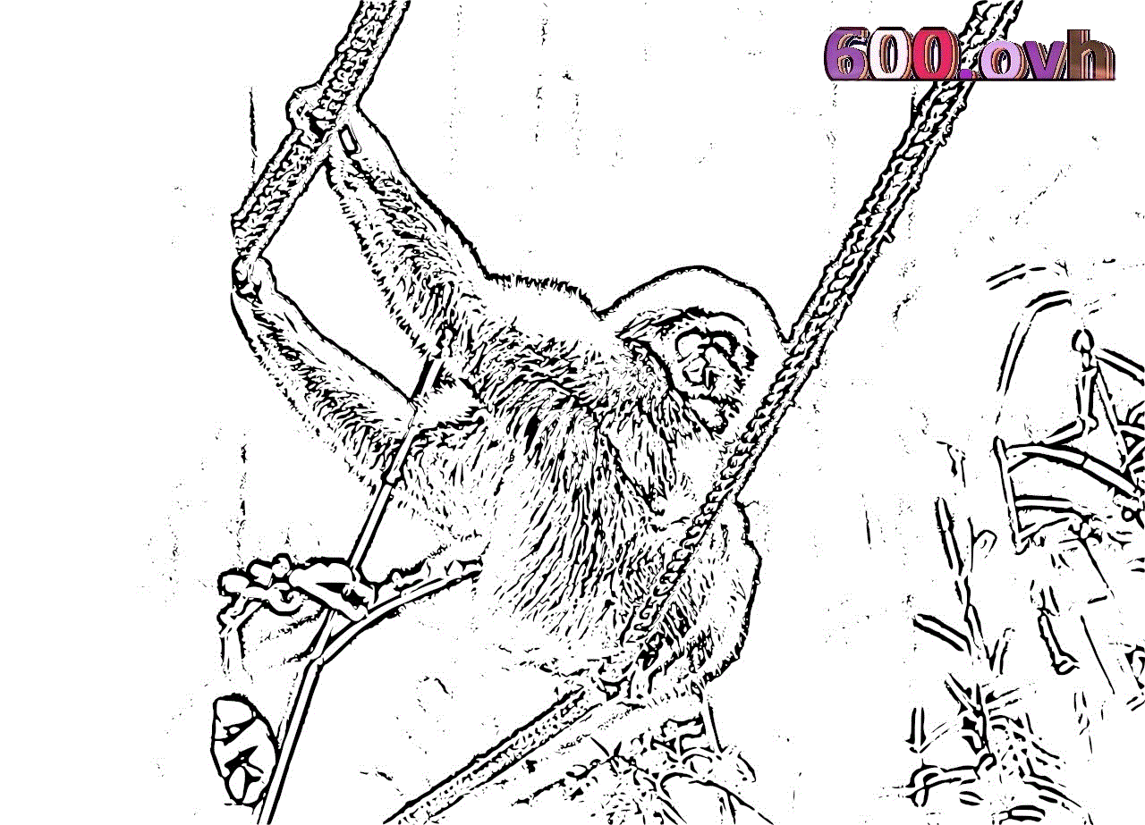 Gibbon coloring #4, Download drawings