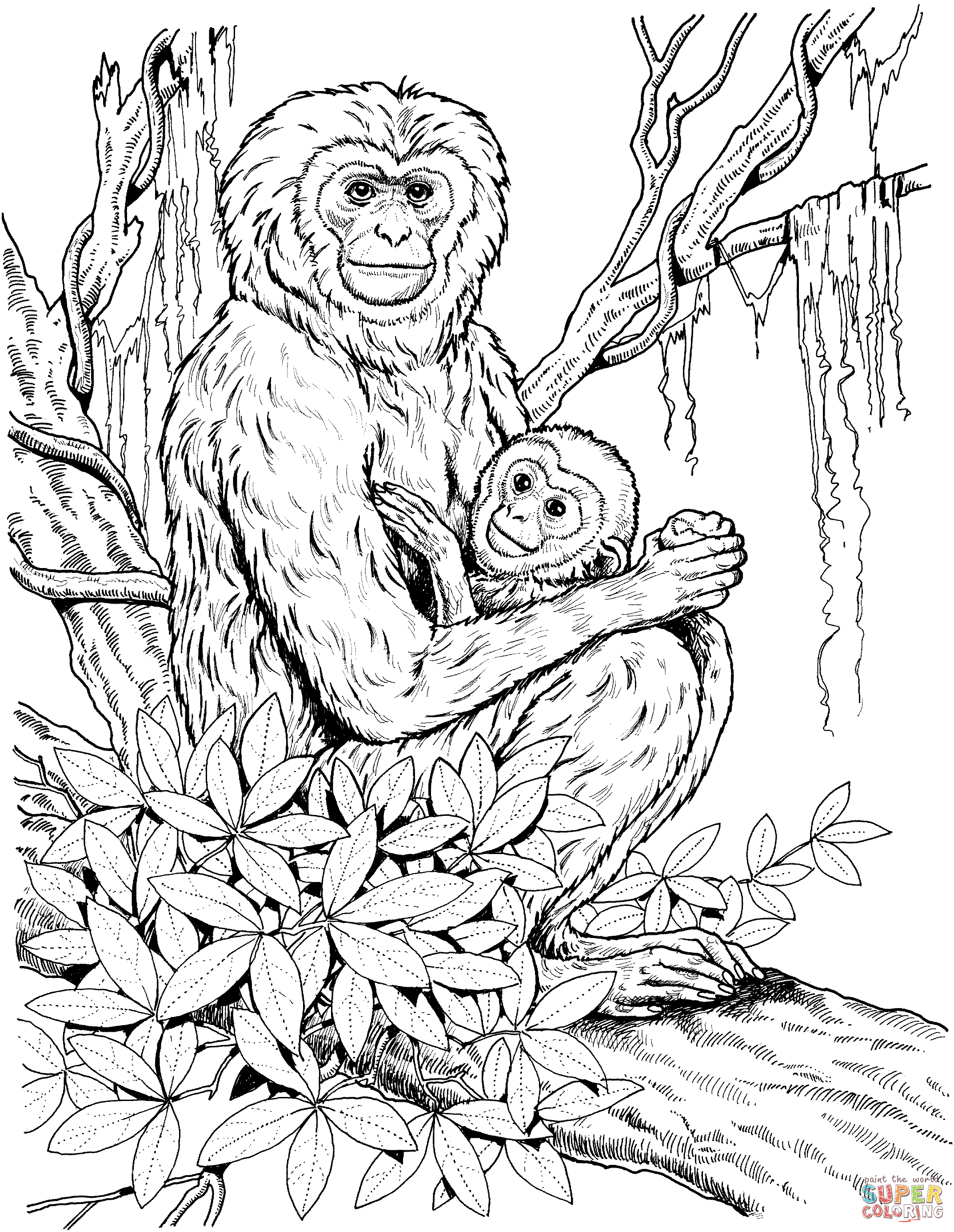 Gibbon coloring #2, Download drawings