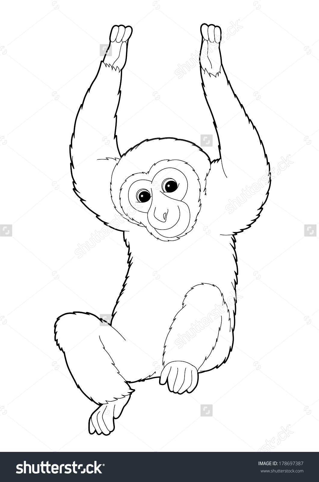 Gibbon coloring #16, Download drawings