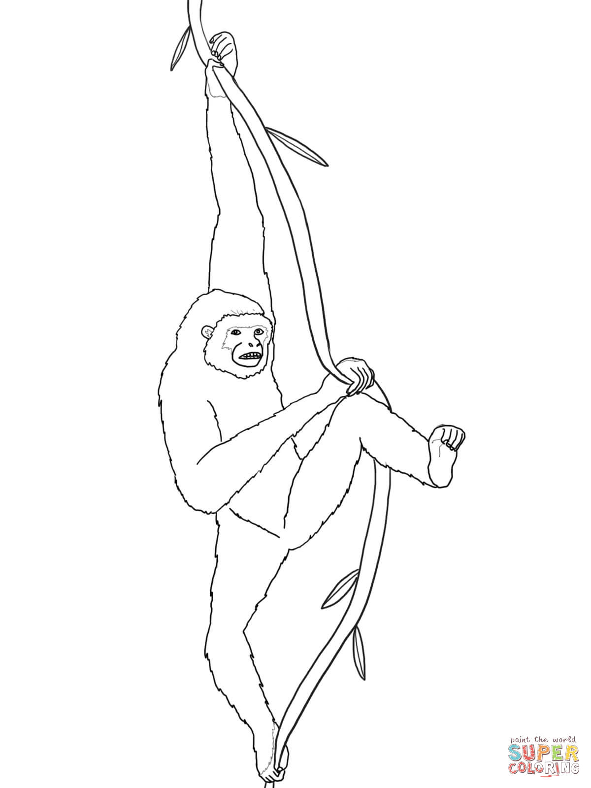 Gibbon coloring #15, Download drawings