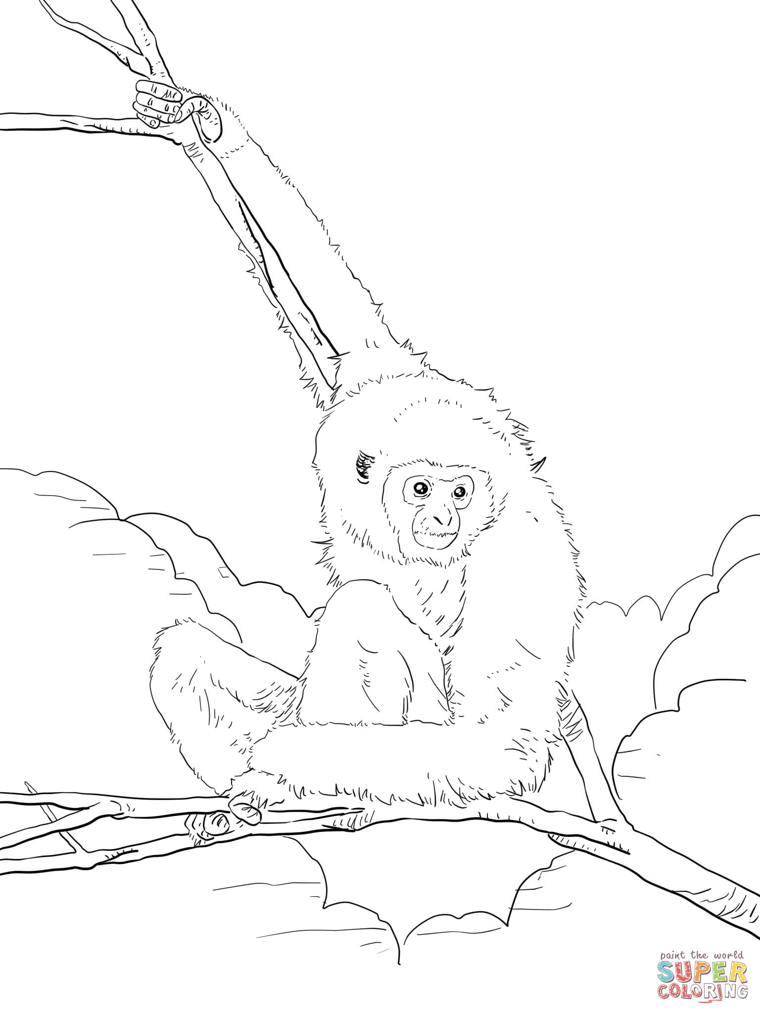 Gibbon coloring #11, Download drawings