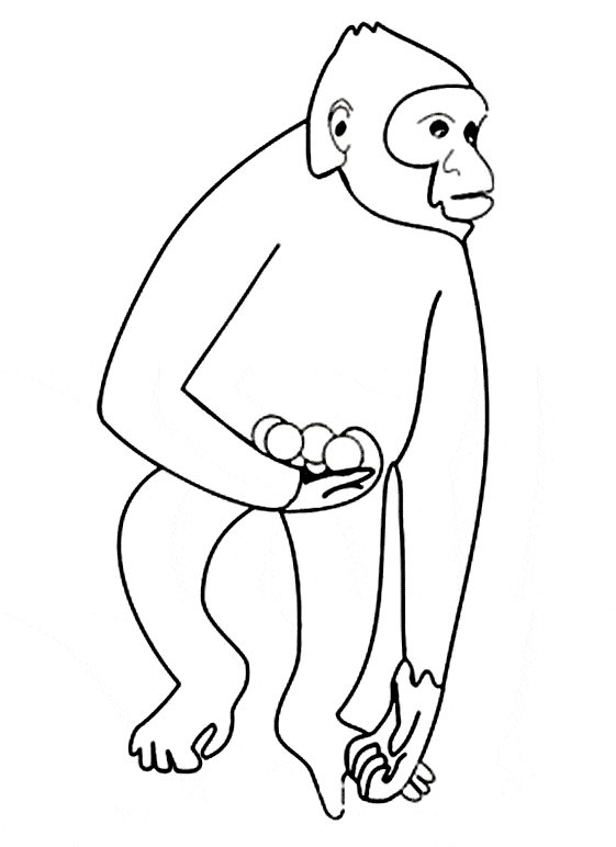 Gibbon coloring #12, Download drawings