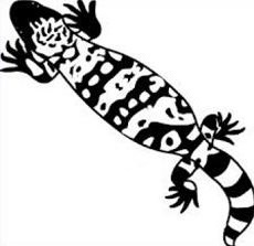 Gila Monster clipart #19, Download drawings