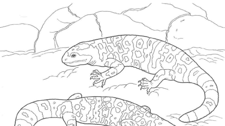 Gila Monster coloring #10, Download drawings
