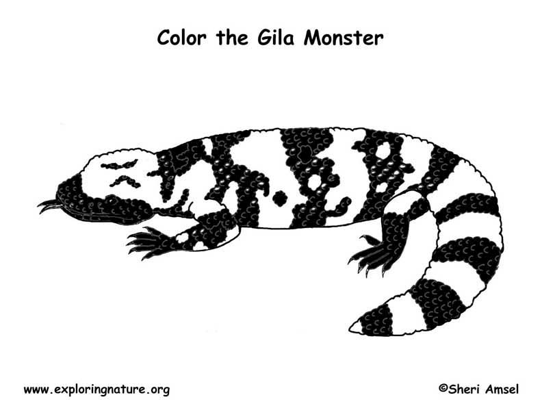 Gila Monster coloring #20, Download drawings