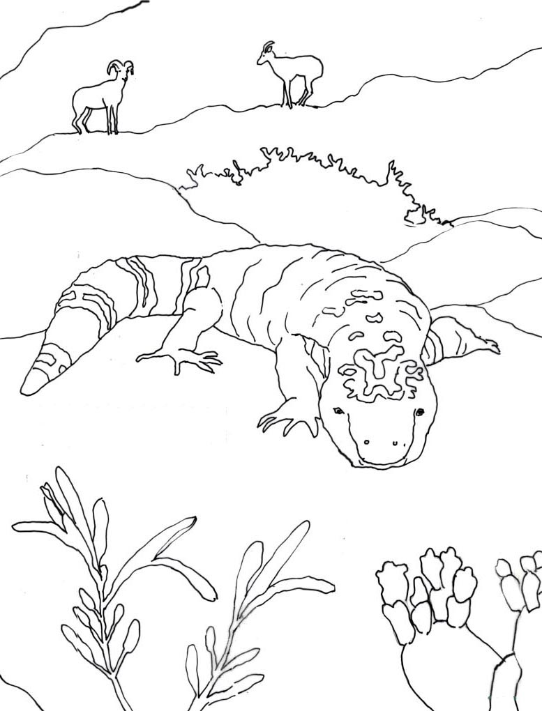 Gila Monster coloring #18, Download drawings