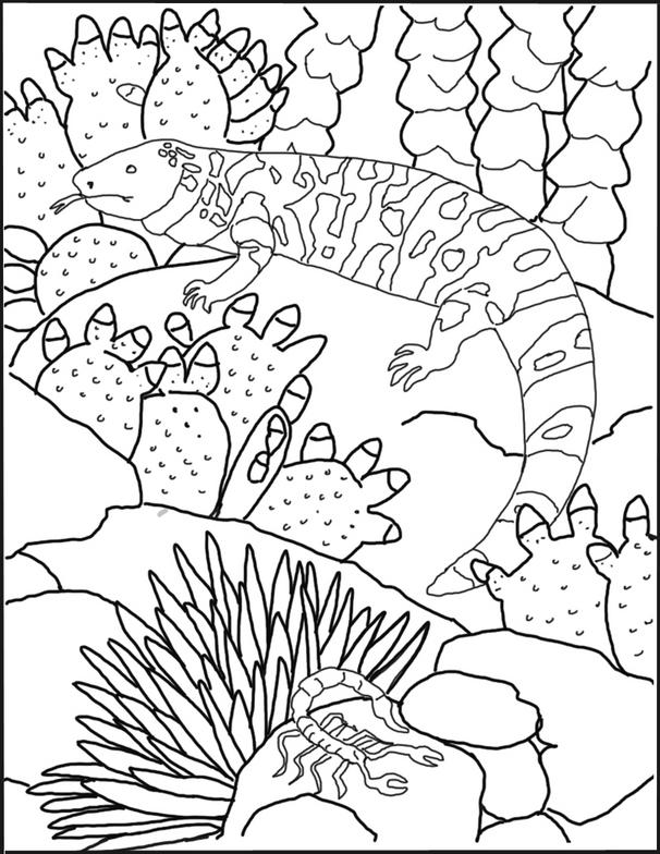 Gila Monster coloring #8, Download drawings