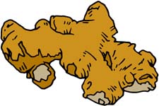 Ginger clipart #7, Download drawings