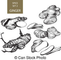 Ginger clipart #3, Download drawings
