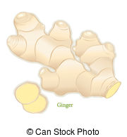 Ginger clipart #9, Download drawings