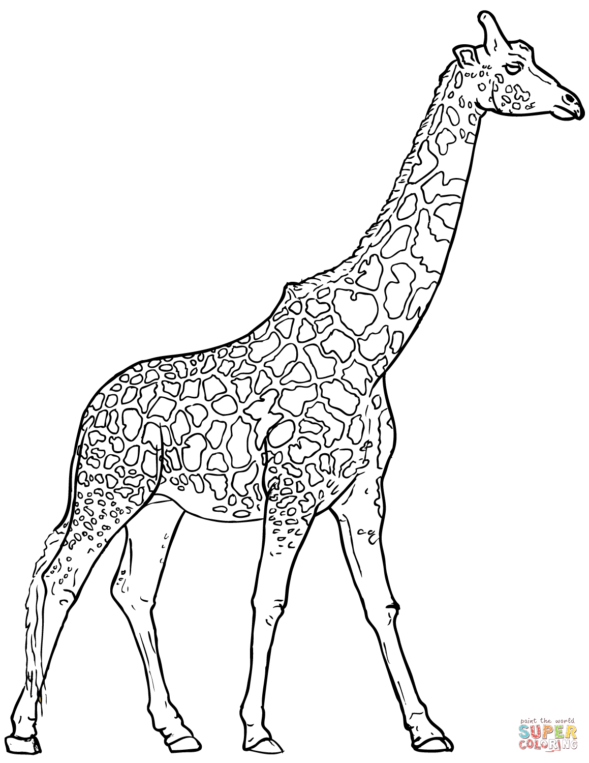 Giraffe coloring #13, Download drawings
