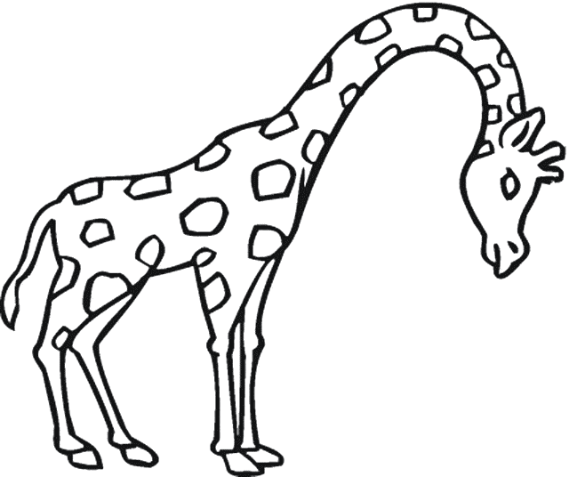 Giraffe coloring #8, Download drawings