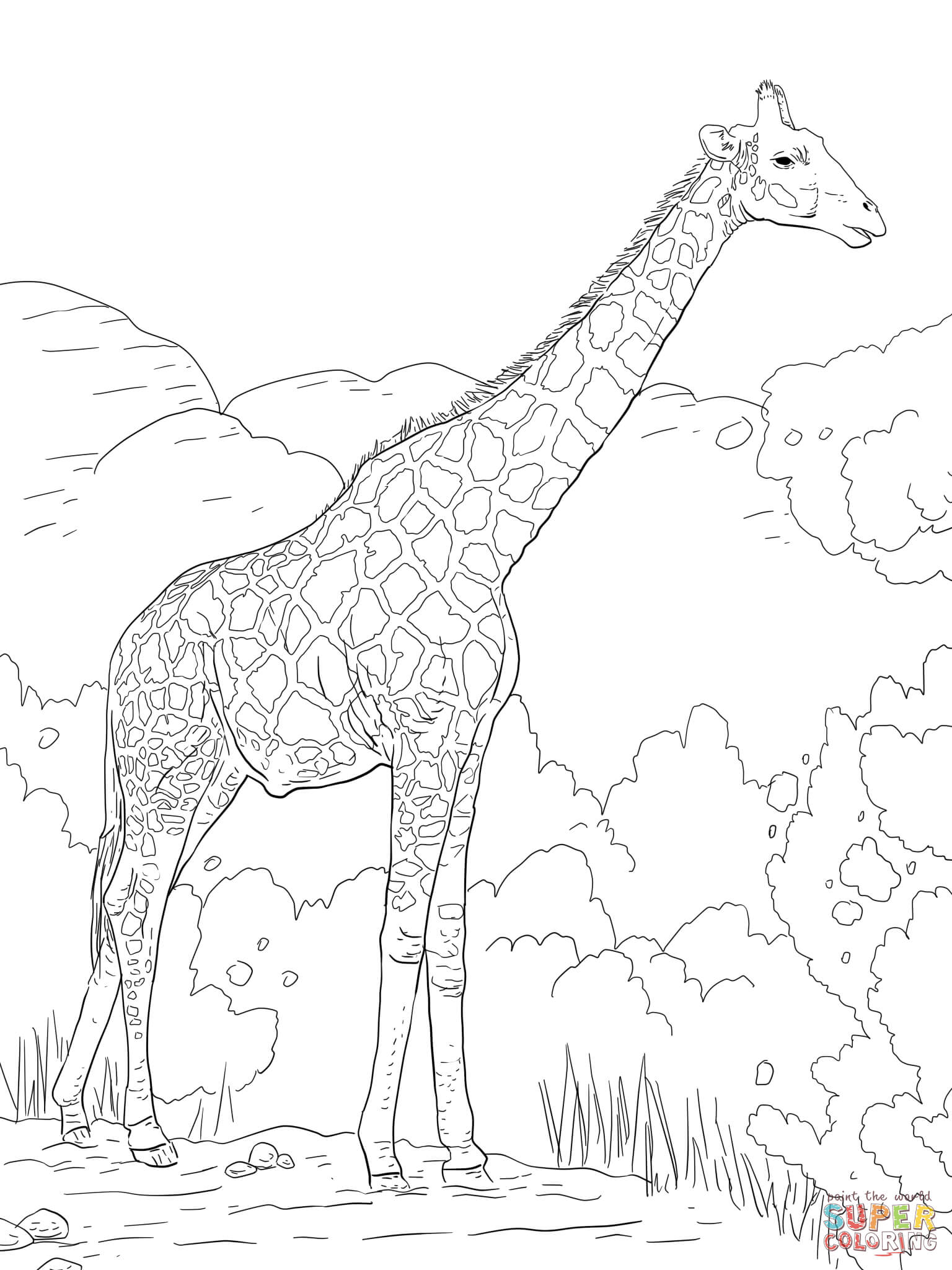 Giraffe coloring #6, Download drawings
