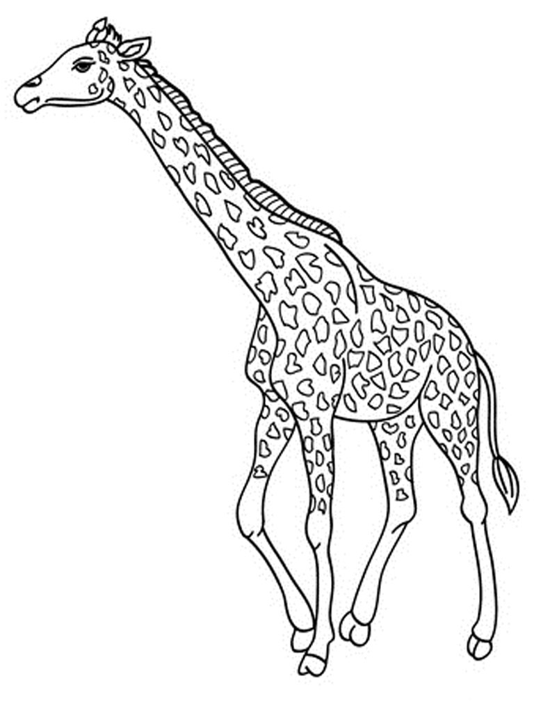 Giraffe coloring #20, Download drawings