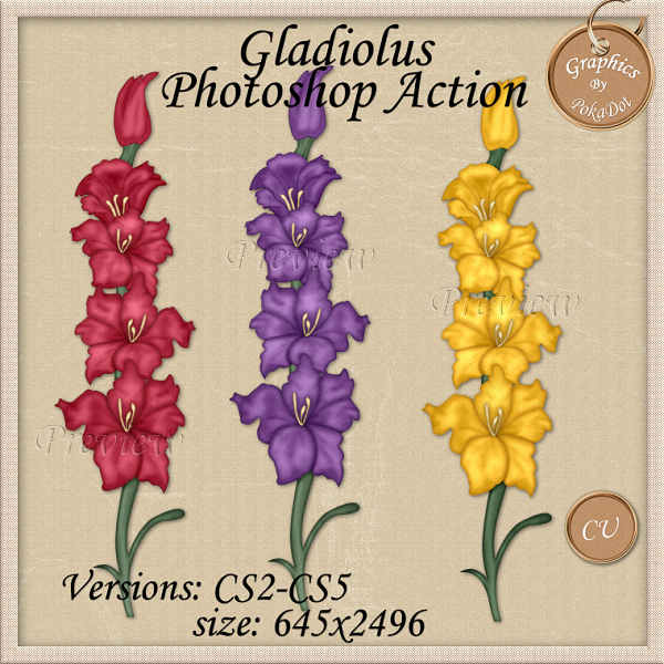 Gladiolus clipart #1, Download drawings
