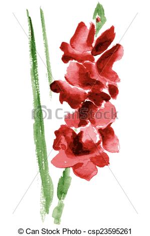 Gladiolus clipart #16, Download drawings