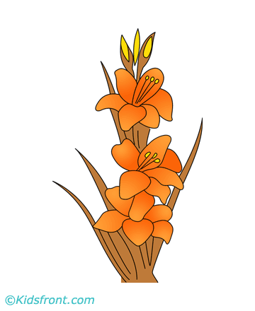 Gladiolus coloring #6, Download drawings