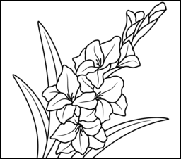 Gladiolus coloring #2, Download drawings