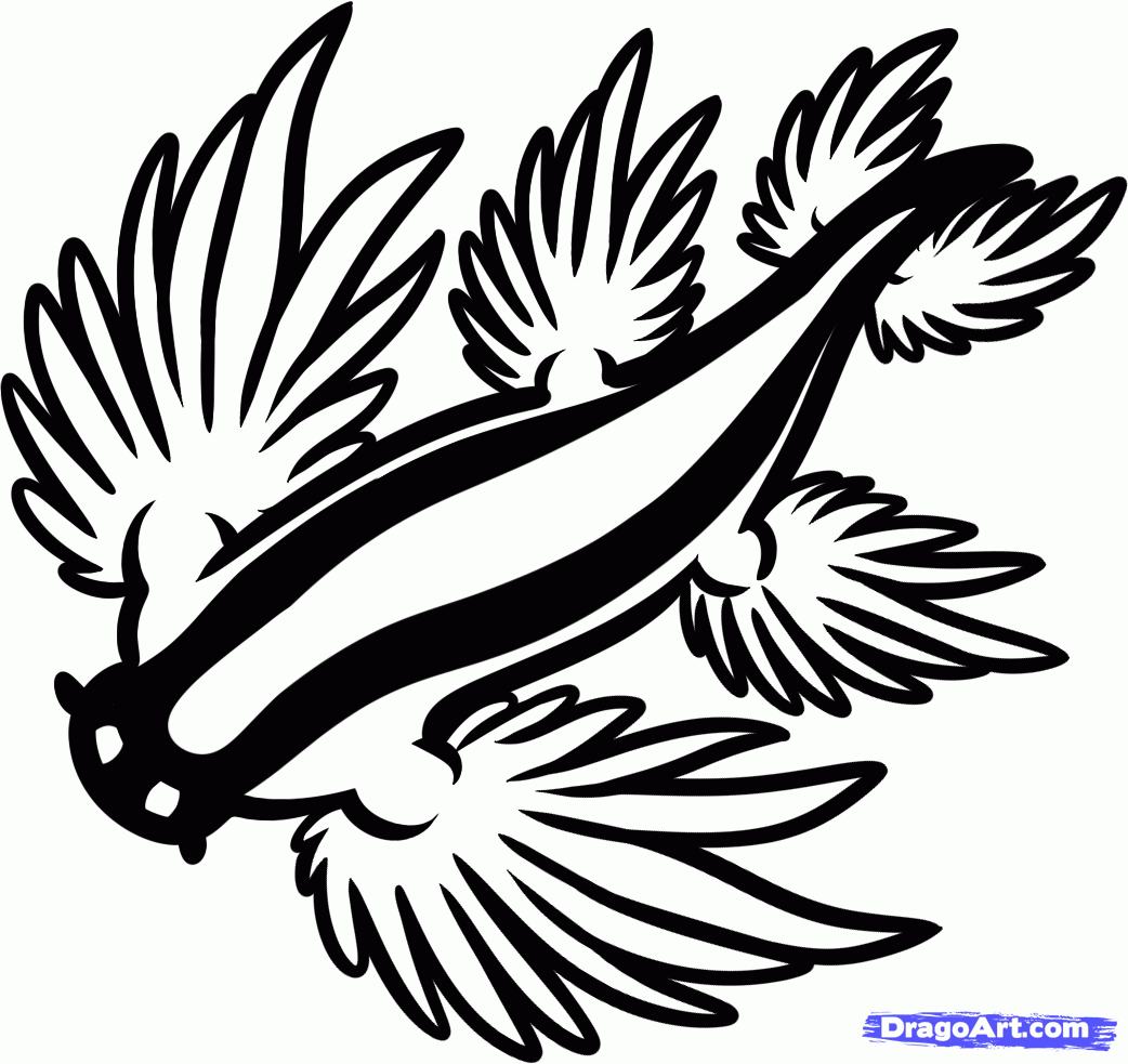Sea Slug coloring #19, Download drawings