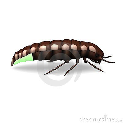 Glowworm clipart #11, Download drawings