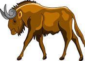 Wildebeest clipart #7, Download drawings