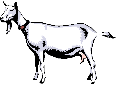 Goat clipart #13, Download drawings
